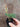 Amorphophallus ongsakulii plant2