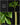 Amorphophallus yuloensis