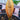 Amorphophallus yuloensis inflorescence