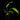 Anthurium gracile
