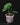 Anthurium peltigerum