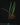 Aridarum 'Long Leaf' (Burttianthus veluntandrus)