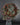 Begonia 'Midnight Magic'