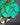 Blattdetail