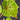 Blattdetail