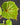 Blattdetail