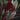 Costus erythrophyllus
