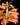 Dendrobium faciferum