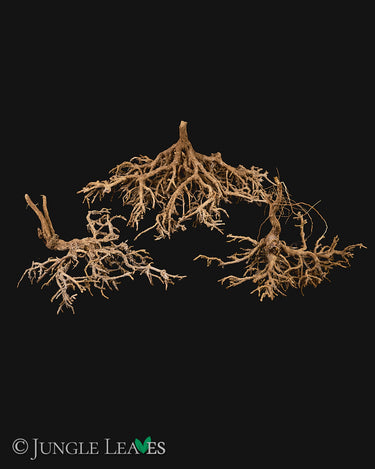 Desert Bush (Mini-Zweige) (3 Stk.)