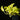 Epipremnum aureum Neon