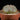 Euphorbia obesa