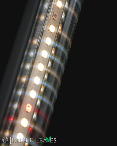 Growlight 60cm