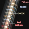 Growlight 60cm