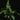 Heliconia psittacorum XL