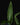 Heliconia psittacorum XL