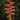 Heliconia rostrata