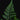 Humata tyermannii