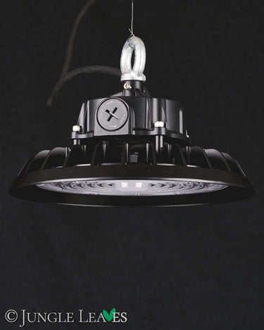 Jungle Lux Highlight80 W (64+48 W), 60°