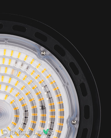 Jungle Lux Highlight80 W (64+48 W), 60°