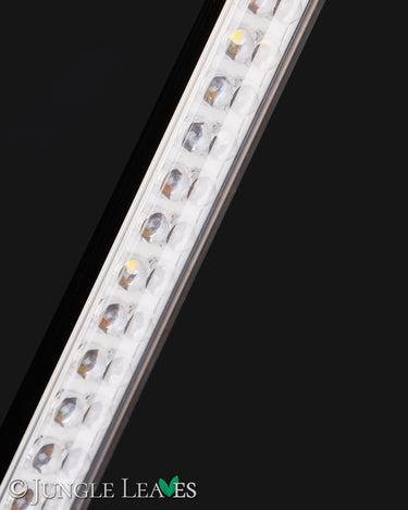 Jungle Lux Linear Lens60 cm – 10 W, 60°