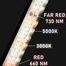 Jungle Lux Linear Lens60 cm – 10 W, 60°