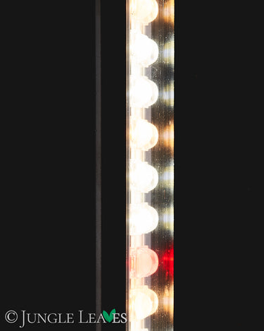 Jungle Lux Linear Lens60 cm – 10 W, 60°