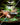 Jungle Lux Mini Vergleich 2