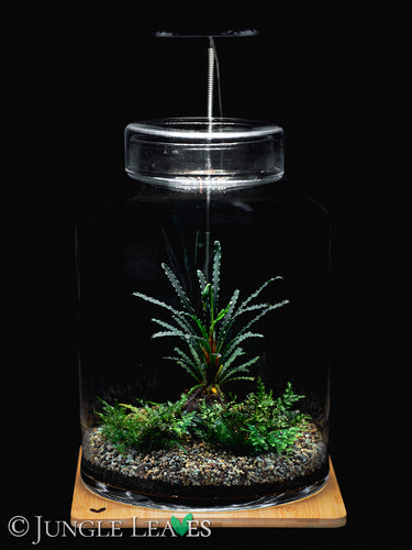 Jungle Lux Stand L
