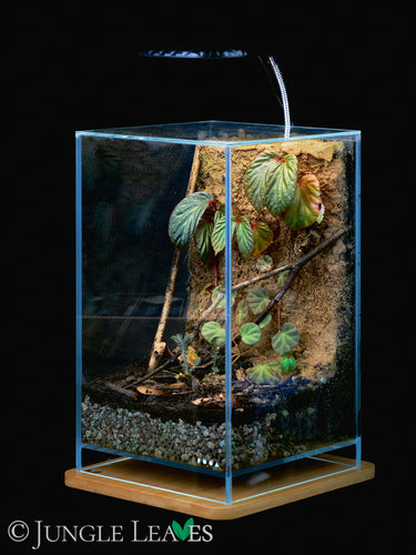 Jungle Lux Stand S