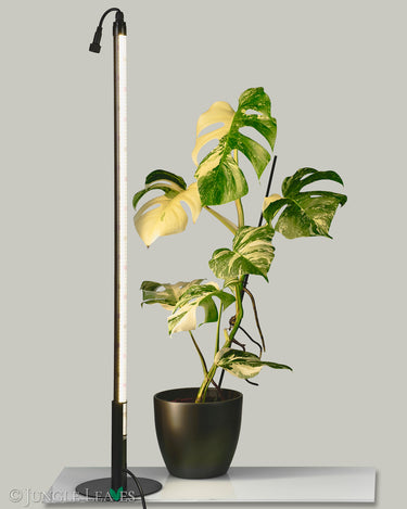Linear Vertical Holder
