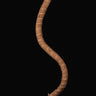 Kokosliane