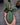 Labisia sp. 'Snake Skin' 'Dino' (Ardisia aff. obovatifolia)