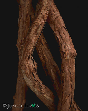 Liane, flexible Ranke für Terrarien, 300 cm