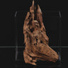 Mangrovenholz S