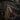 Marcgravia sp. 'El Coca'