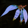 Microsorum siamense