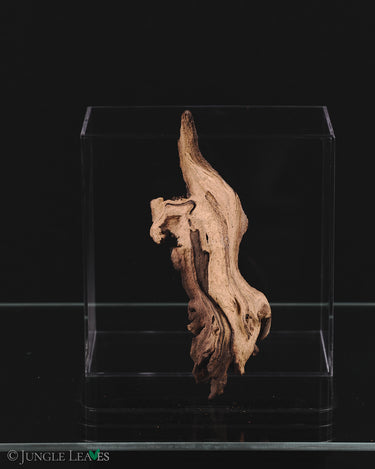 Mopani Root XS