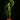 Philodendon melanochrysum