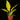 Philodendron 'Golden Saw'
