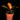 Philodendron McColley's Finale