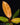 Philodendron 'Prince of Orange'