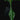 Philodendron × Joepii