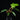 Philodendron squamiferum