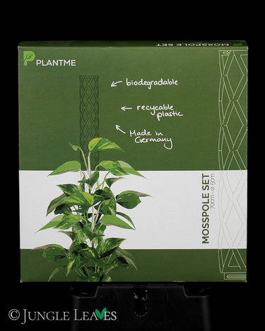 PlantMe Moosstab Set Midi