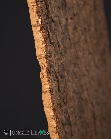 Rückwand Kork 30 x 20