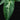 Schismatoglottis pusilla