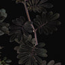 Solanum uleanum