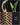 Synandrospadix vermitoxicus