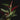 Syngonium erythrophyllum 'Red Arrow'