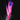Tillandsia aeranthos Blüten